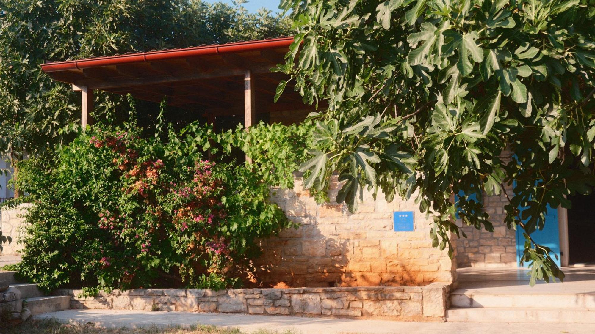 Kamena Kuca Mamma Mia Villa Sukosan Ngoại thất bức ảnh